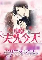 《韩爷夫人今天乖了嘛》小说封面