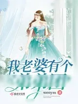 《我老婆有个弟弟团》小说封面