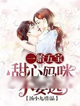 《一胎五宝：甜心妈咪不要逃》小说封面