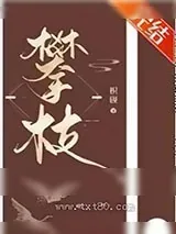 《我攀上了失忆世子的高枝》小说封面
