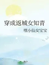 《穿成返城女知青》小说封面