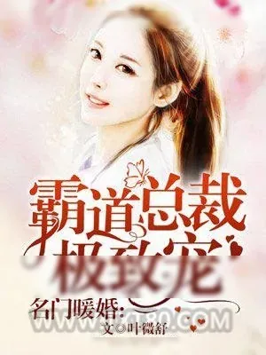 《名门暖婚：霸道总裁极致宠》小说封面