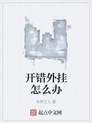 《开错外挂怎么办》小说封面