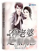 《我负责宠你到底》小说封面