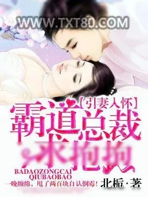 《娇妻引入怀》小说封面