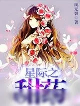 《星际之甜药》小说封面