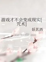 《游戏才不会变成现实》小说封面