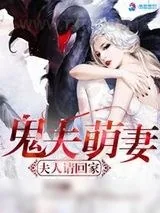 《鬼夫萌妻之夫人请回家》小说封面