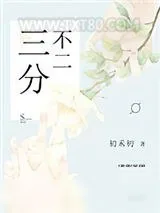 《三分不二》小说封面