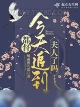 《都督今天追到夫人了吗》小说封面