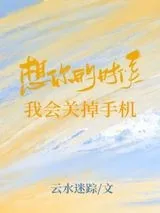 《想你的时候我会关掉手机》小说封面