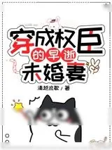 《登高堂》小说封面