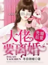 《先婚后爱，大佬要离婚！》小说封面