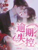 《逾期失控》小说封面