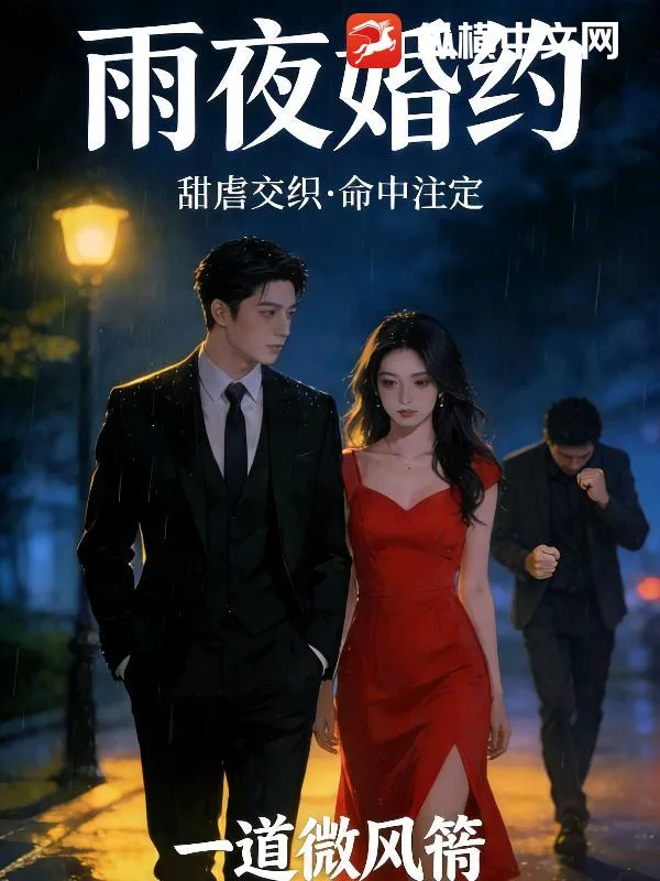 《雨夜婚约》小说封面