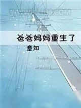 《爸爸妈妈重生了》小说封面
