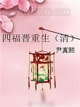 《四福晋重生（清）》小说封面