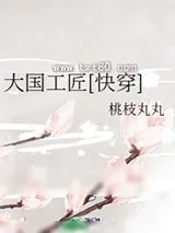 《大国工匠[快穿]》小说封面