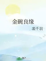 《金碗良缘》小说封面