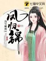 《凤归锦》小说封面