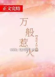 《万般惹火》小说封面
