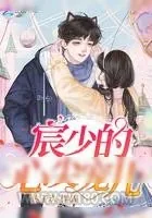 《宸少的心尖宠儿》小说封面