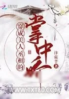 《穿成美人丞相的掌中娇》小说封面