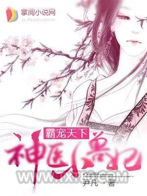 《神医小兽妃》小说封面