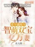 《帝少通缉令：智萌双宝亿万妻》小说封面