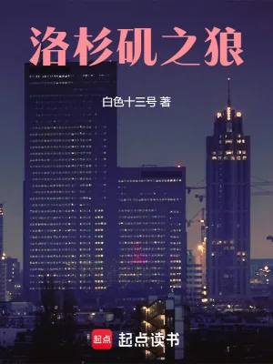 《洛杉矶之狼》小说封面