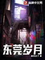 《东莞岁月》小说封面