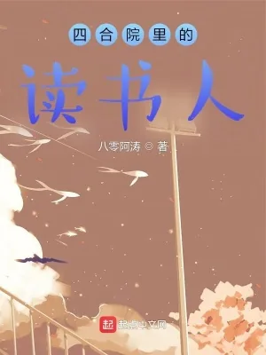 《四合院里的读书人》小说封面