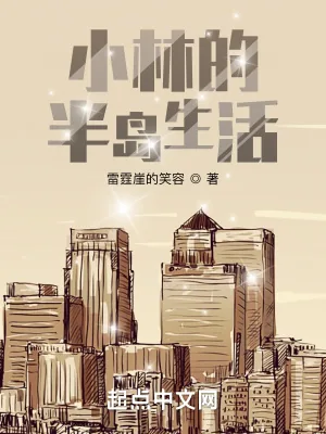 《小林的半岛生活》小说封面