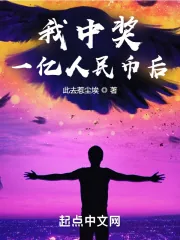 《我中奖一亿人民币后》小说封面
