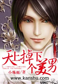 《天上掉下个美男》小说封面
