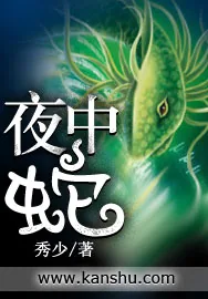 《夜中蛇》小说封面