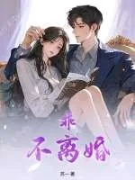 《乖，不离婚》小说封面
