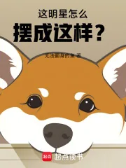 《这明星怎么摆成这样？》小说封面