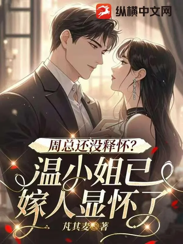 《周总还没释怀？温小姐已嫁人显怀了》小说封面
