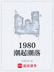 《1980潮起潮落》小说封面