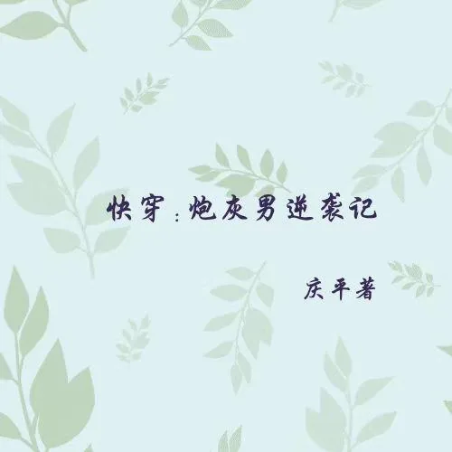 《快穿炮灰男逆袭记》小说封面