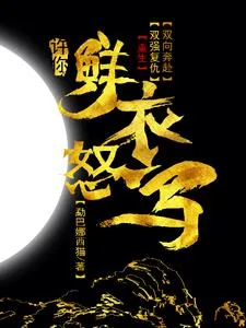 《许你鲜衣怒马》小说封面