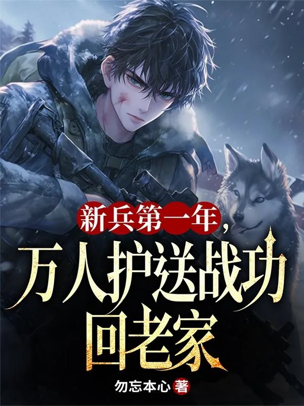 《新兵第一年，万人护送战功回老家》小说封面