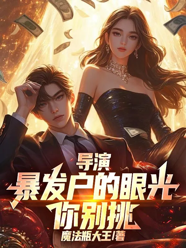 《导演：暴发户的眼光你别挑》小说封面
