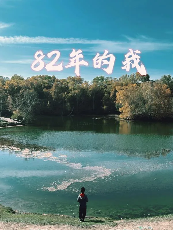 《82年的我》小说封面