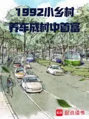 《1992小乡村，养车成村中首富》小说封面