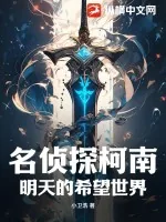 《名侦探柯南：明天的希望世界》小说封面