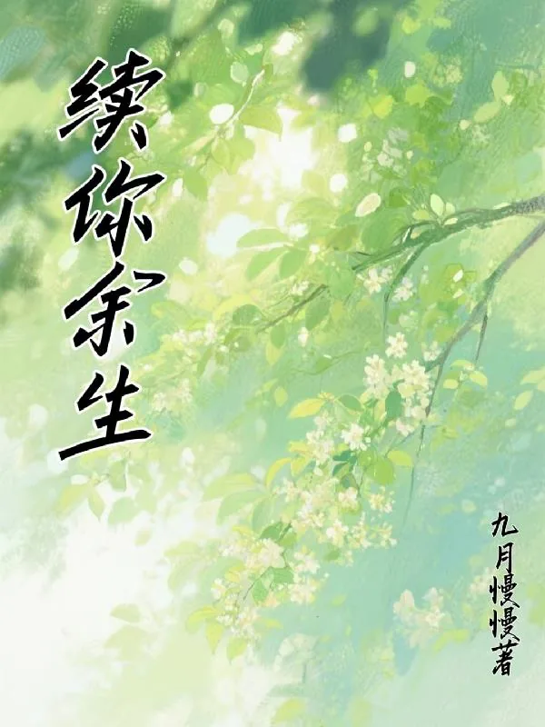 《续你余生》小说封面