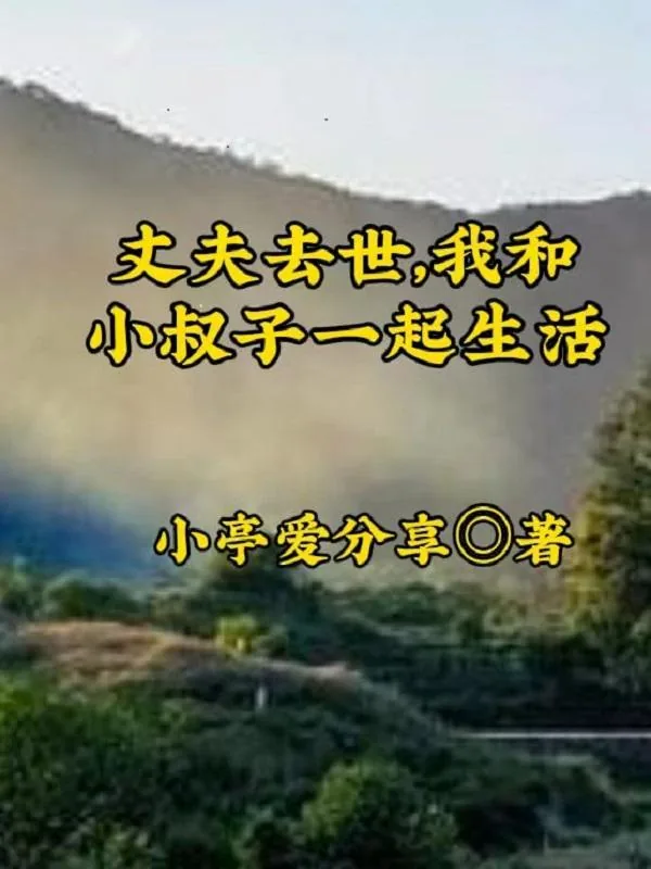 《丈夫去世，我和小叔子一起生活》小说封面