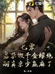 《七零假千金怀崽爆宠，京圈大佬他真香了》小说封面